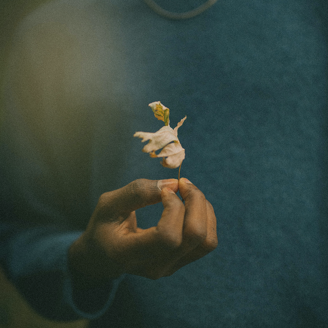 Magens koppling till mental hälsa