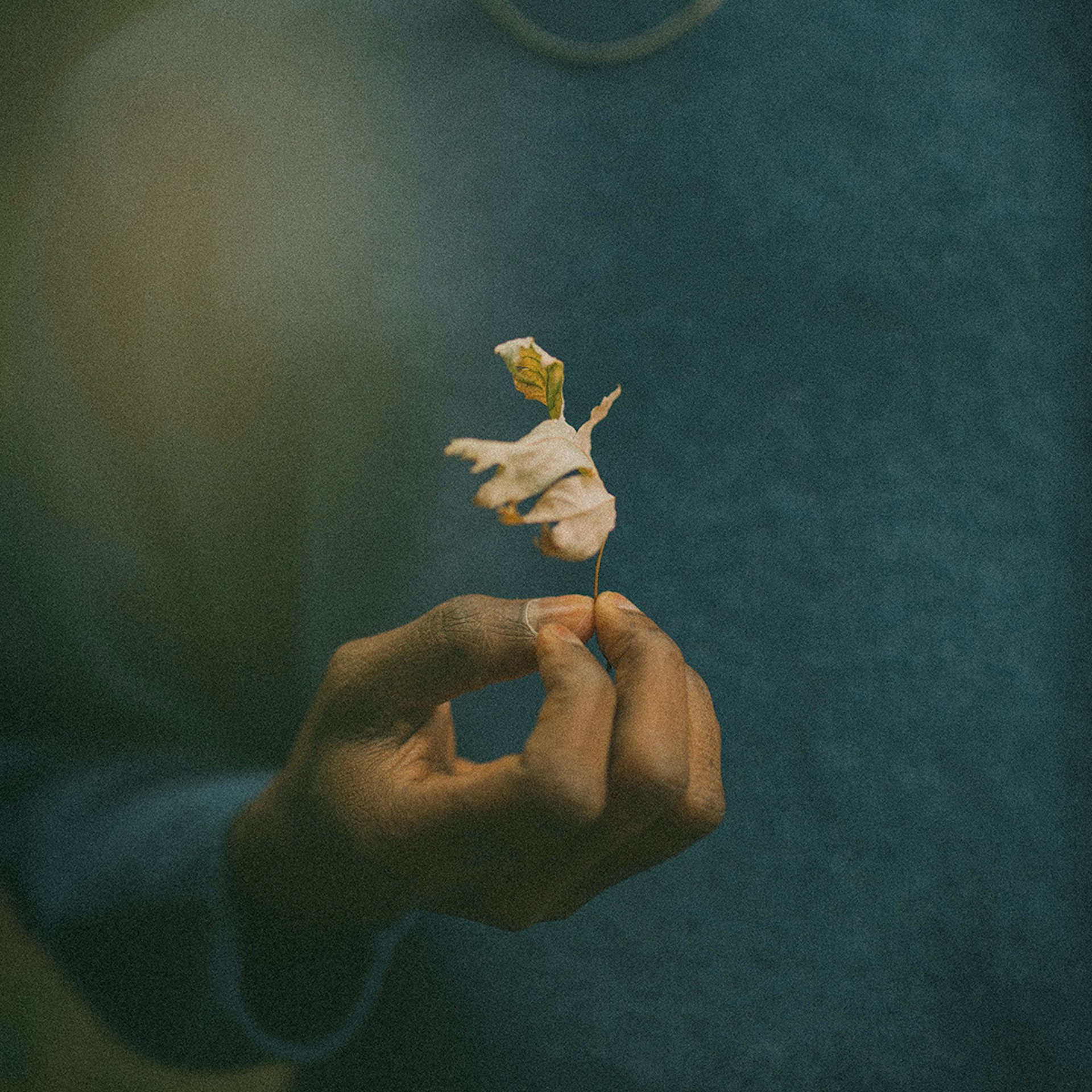 Magens koppling till mental hälsa