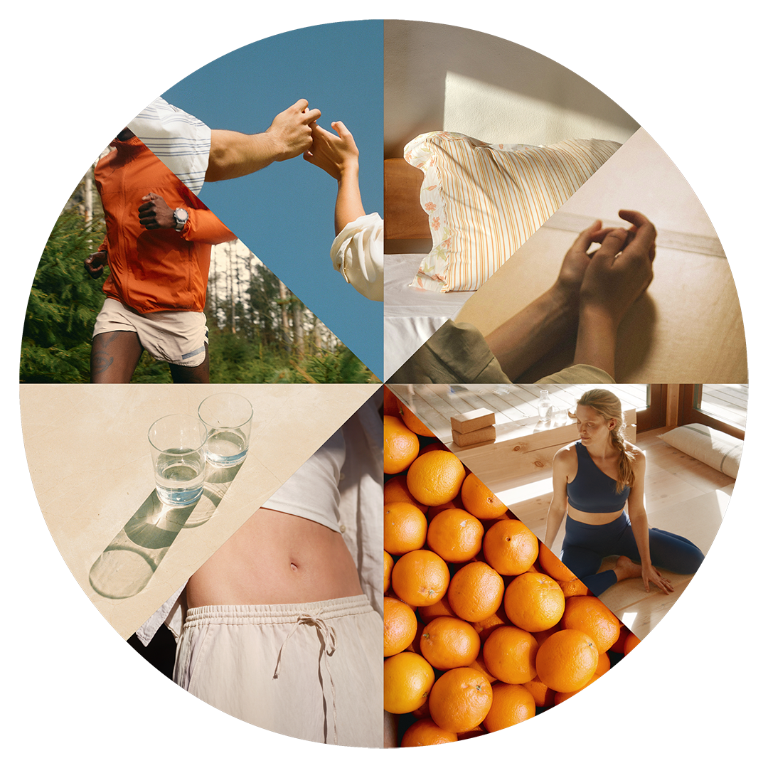 Holistiskt hälsohjul